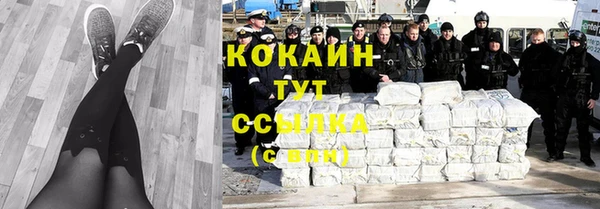 мяу мяу мука Алексеевка