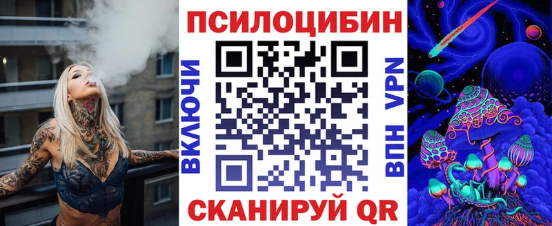 закладки  Тюмень  Псилоцибиновые грибы Cubensis 
